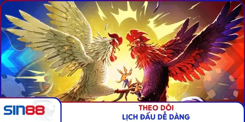 Theo dõi lịch đấu dễ dàng